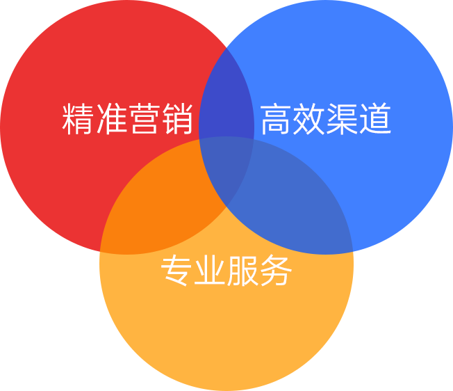 创新引领,客户为先 创新引领,客户为先